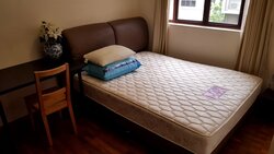Charleston (D10), Apartment #460005661